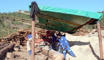 La scierie de Zimbabween montre commnet réussir dans une scierie